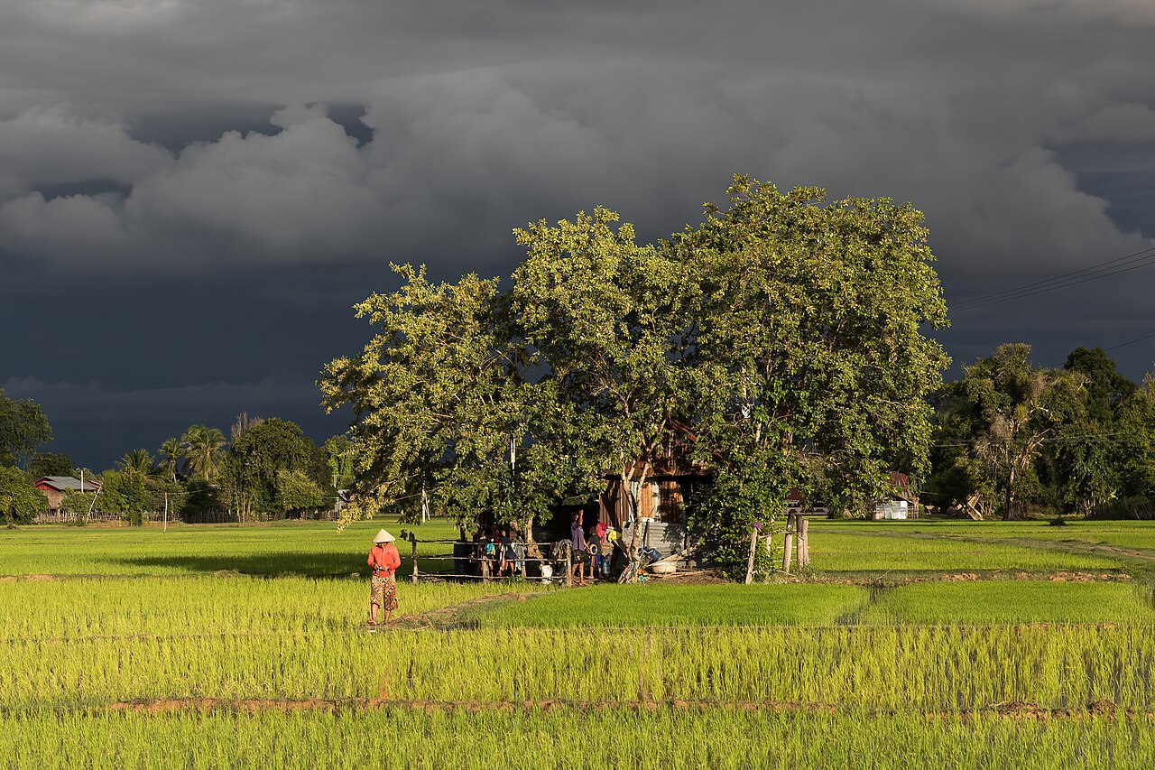 Condições do céu sobre área rural